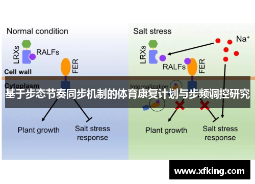 基于步态节奏同步机制的体育康复计划与步频调控研究