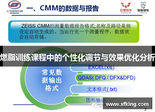 燃脂训练课程中的个性化调节与效果优化分析