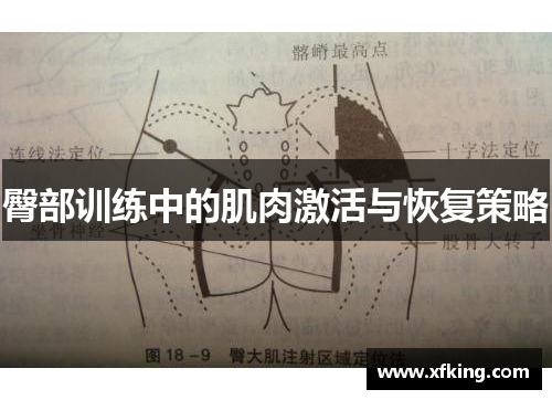 臀部训练中的肌肉激活与恢复策略